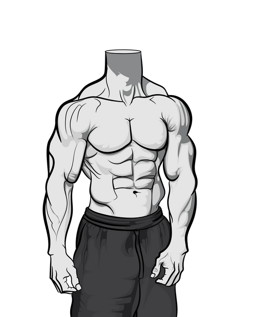 Athletic Model 159 - Male Line Art Template – Muscular Body Base for Digital Creators