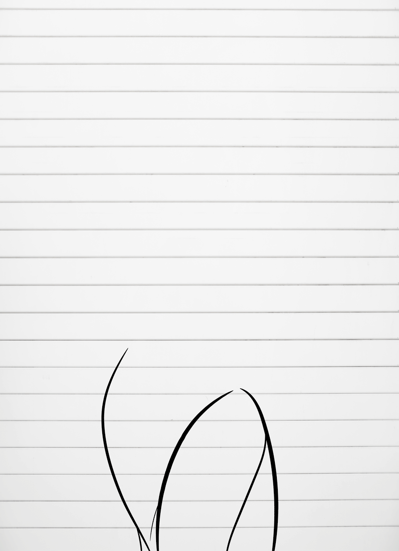 Before transformation